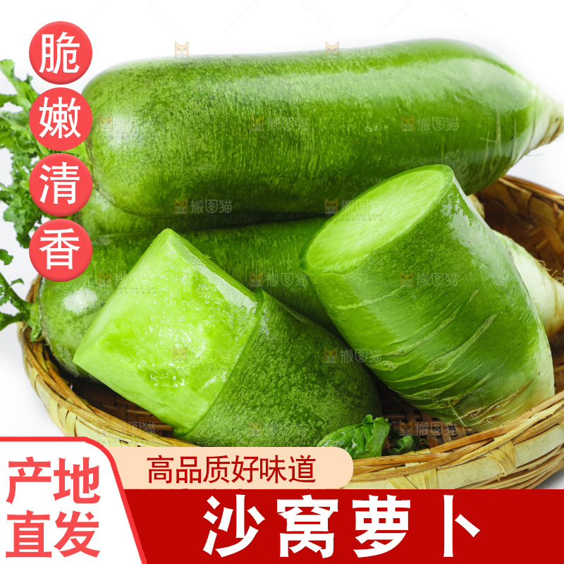 白底上的沙窝萝卜