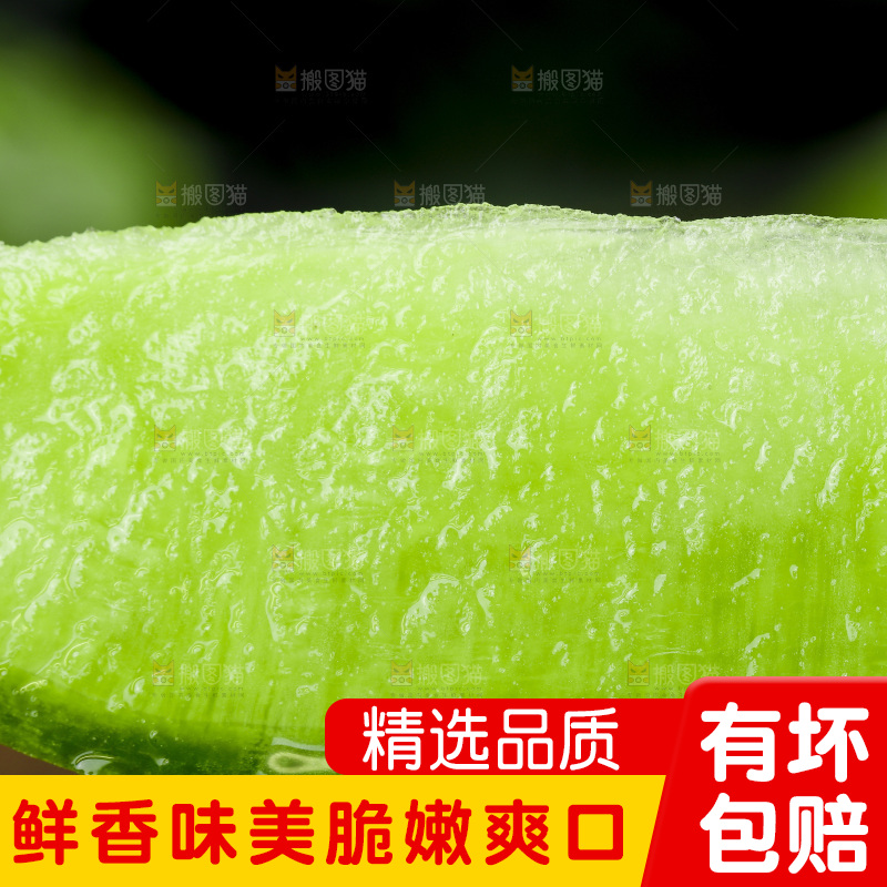 深底上的沙窝萝卜