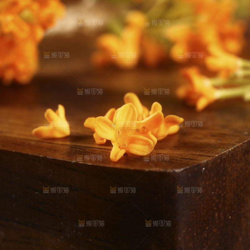 深底上的桂花