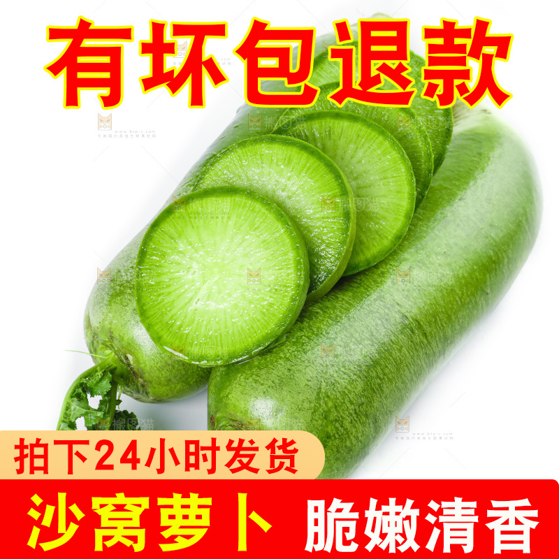 白底上的沙窝萝卜