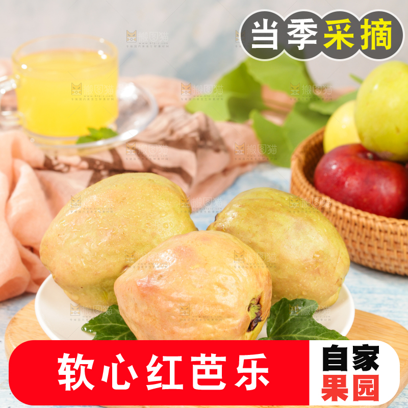 浅底上的红心芭乐