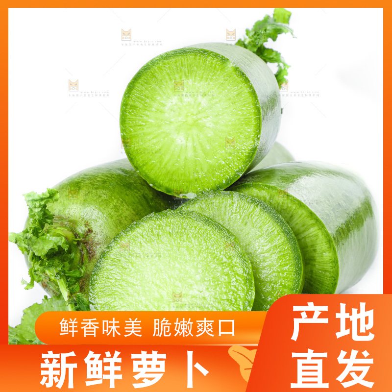 白底上的沙窝萝卜