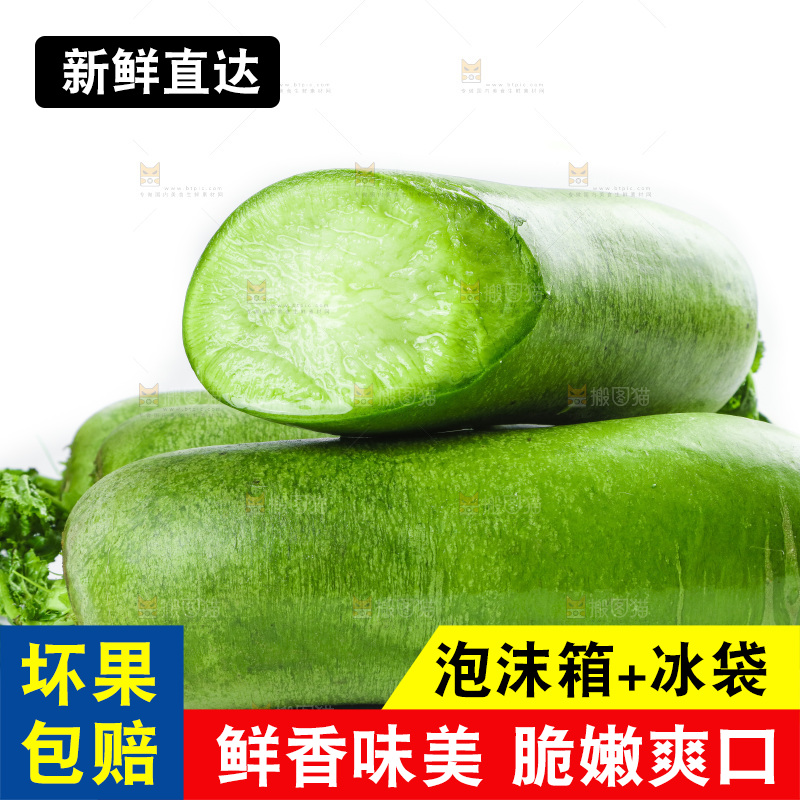 白底上的沙窝萝卜