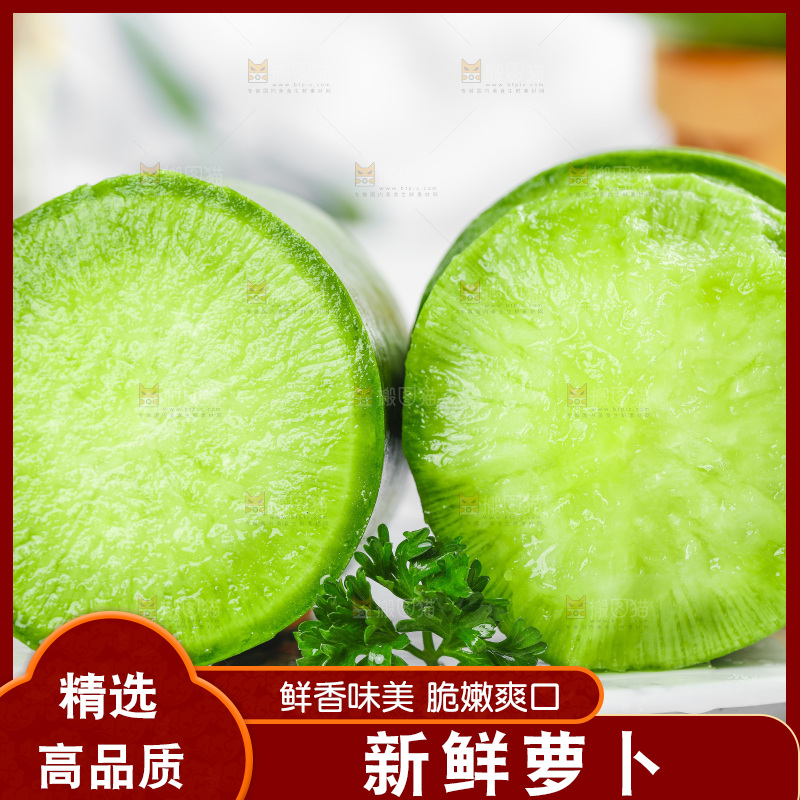 浅底上的沙窝萝卜