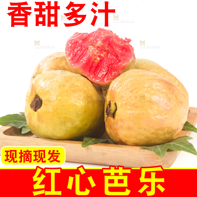 白底上的红心芭乐