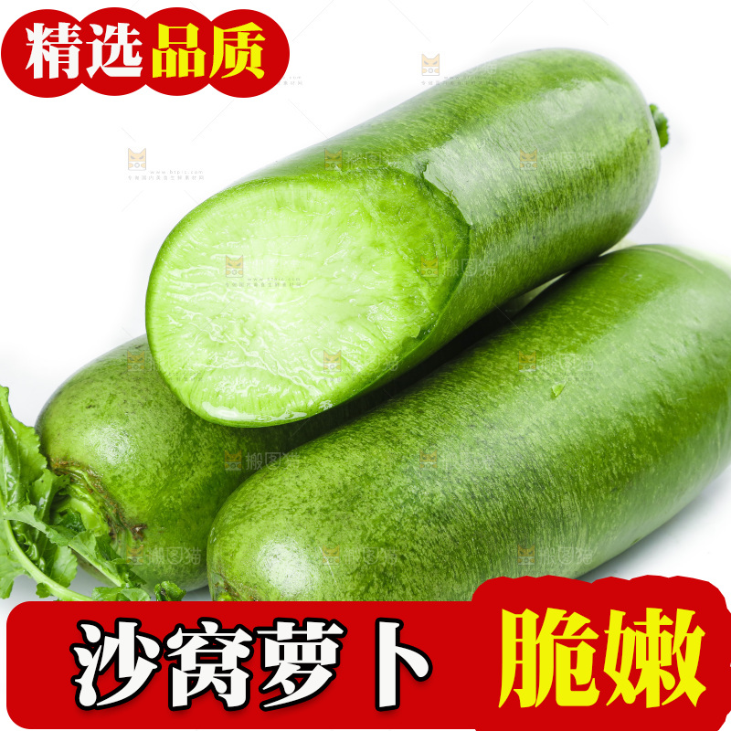 白底上的沙窝萝卜