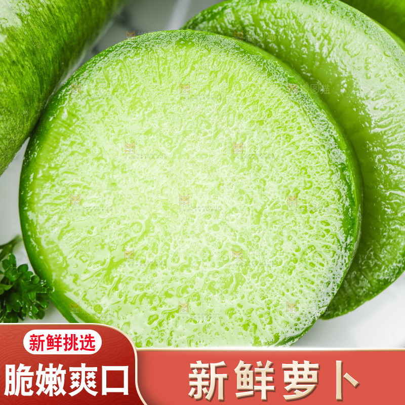 浅底上的沙窝萝卜