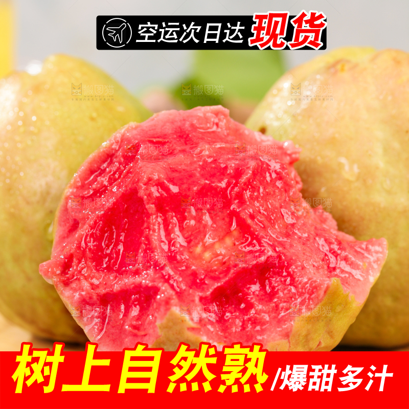 浅底上的红心芭乐