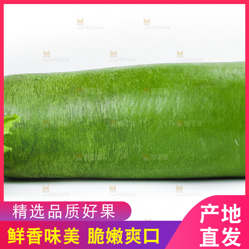 白底上的沙窝萝卜