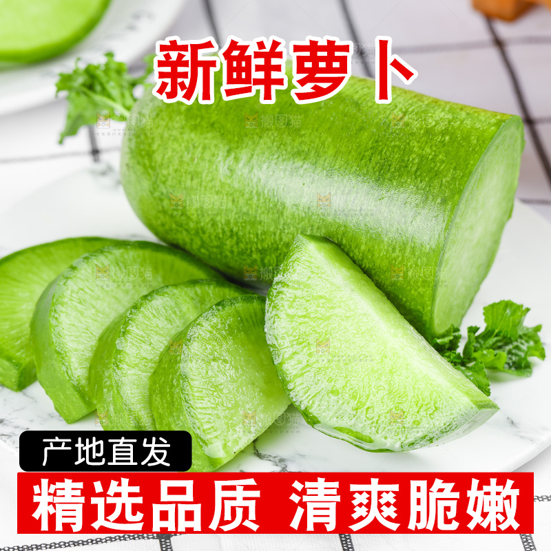 浅底上的沙窝萝卜