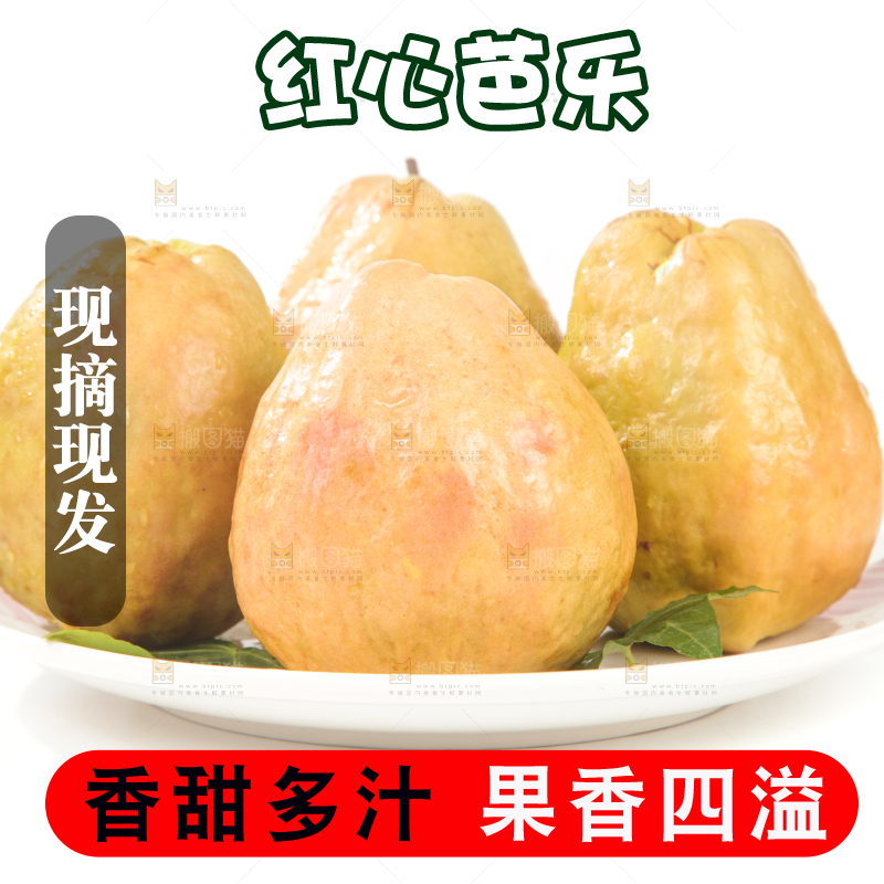 白底上的红心芭乐