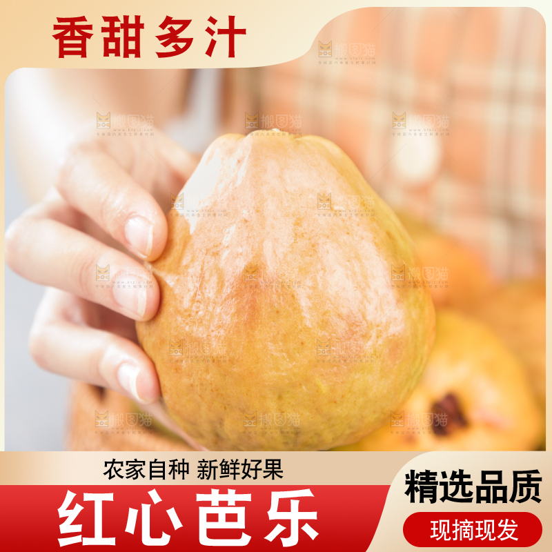 浅底上的红心芭乐