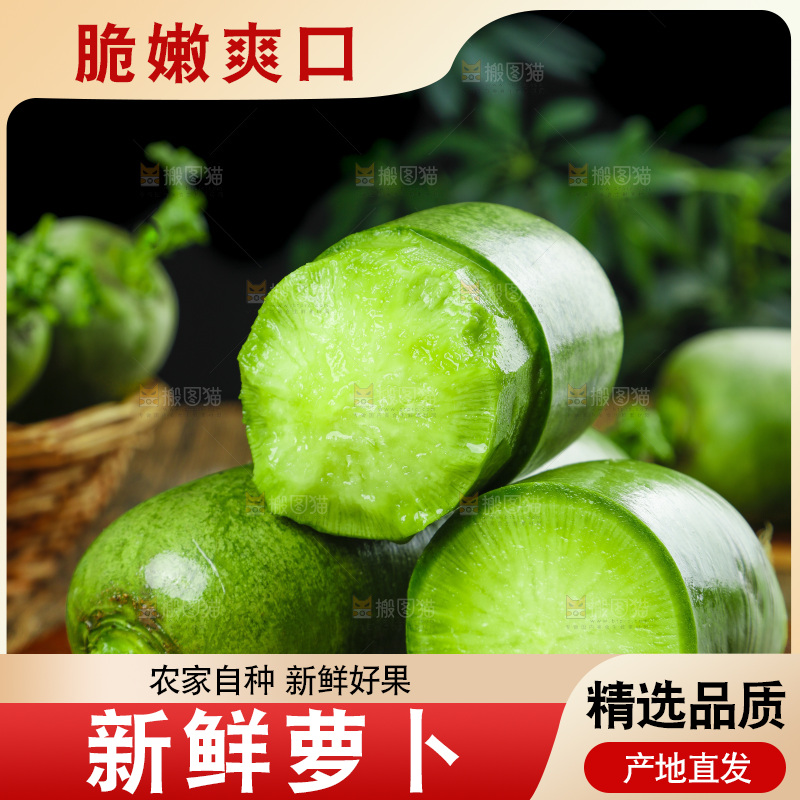 深底上的沙窝萝卜