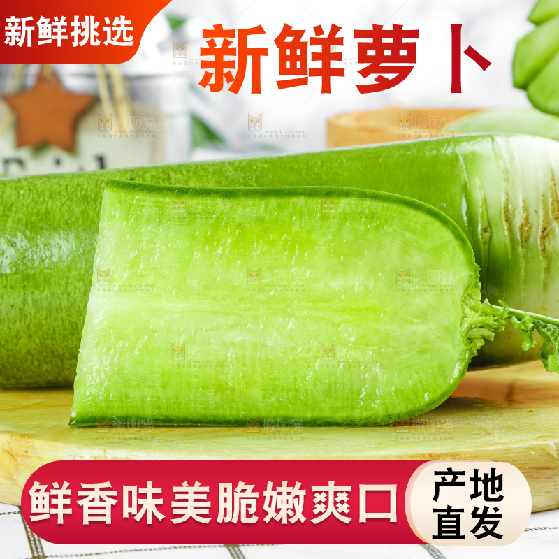 浅底上的沙窝萝卜