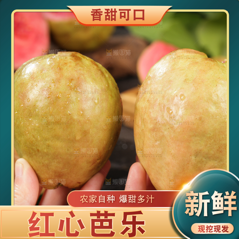 深底上的红心芭乐