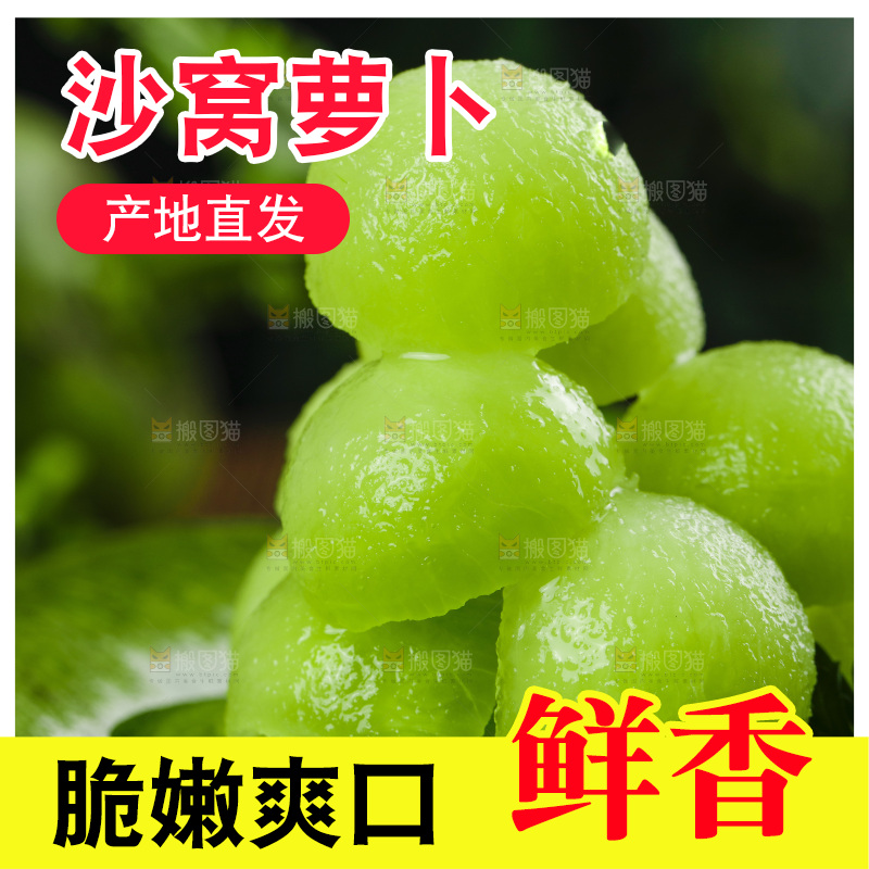 深底上的沙窝萝卜