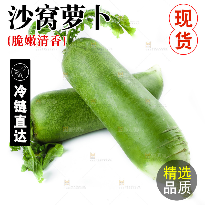 白底上的沙窝萝卜