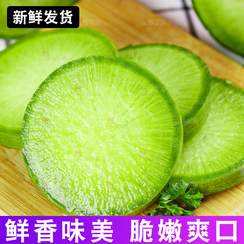 浅底上的沙窝萝卜