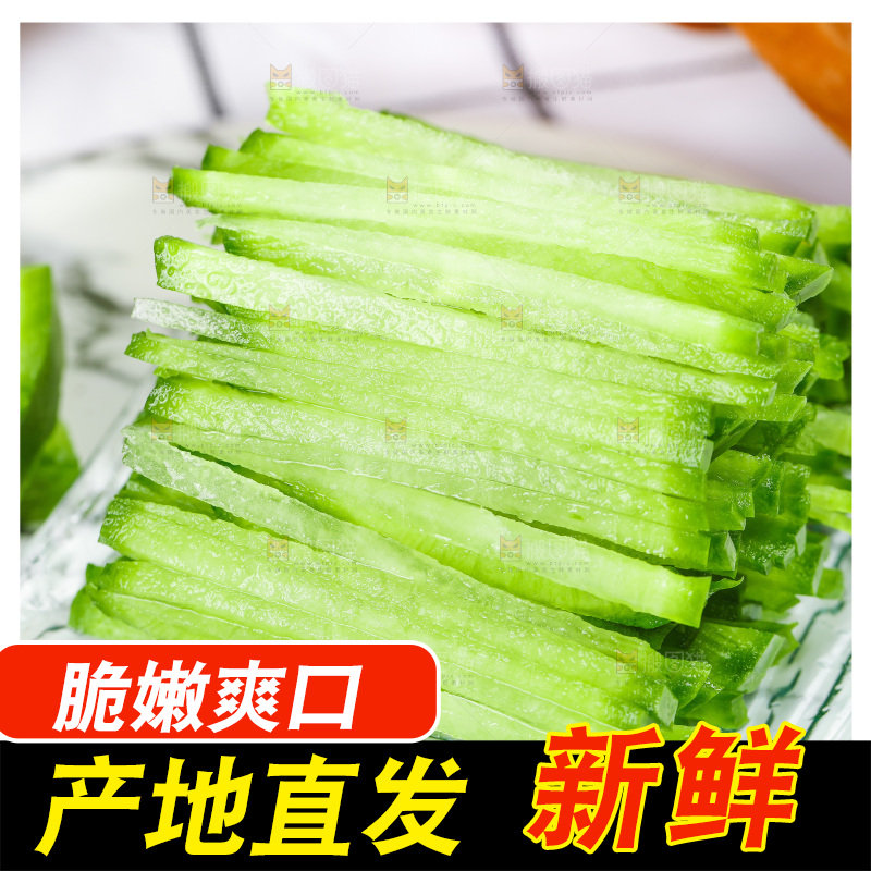 浅底上的沙窝萝卜