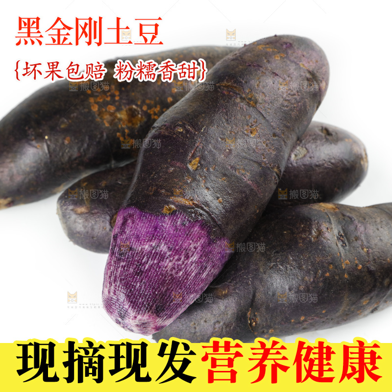 白底上的紫土豆