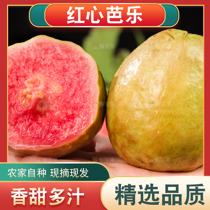 深底上的红心芭乐