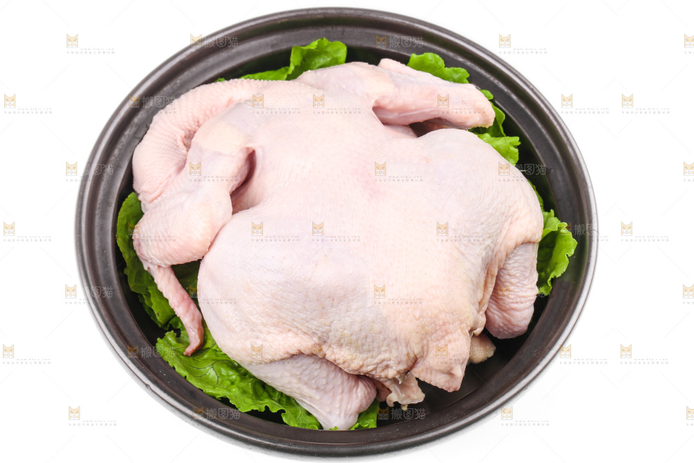 白底上的生鲜鸡肉