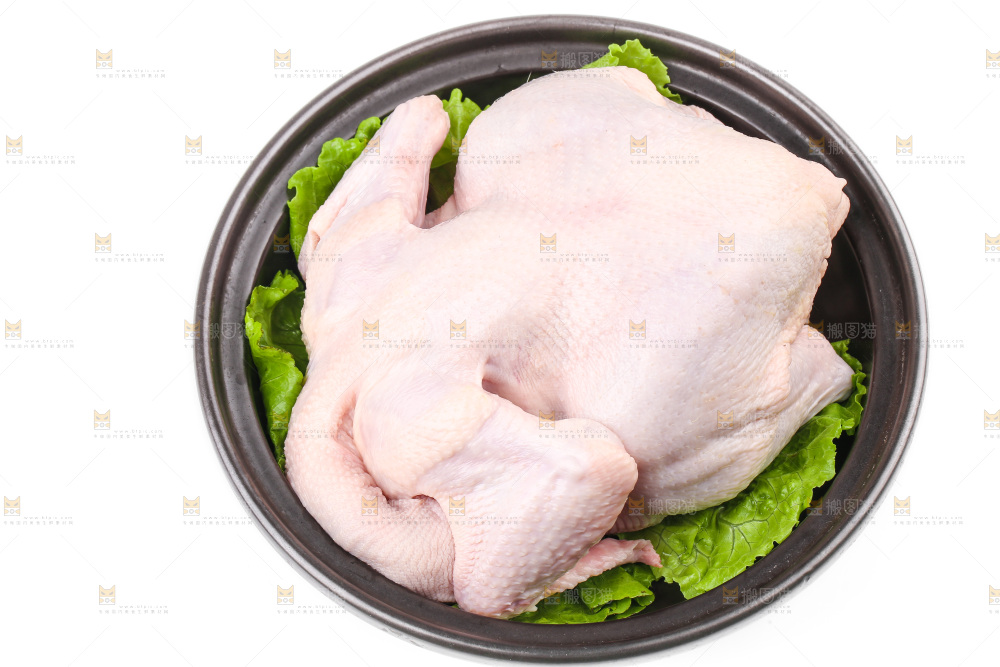白底上的生鲜鸡肉