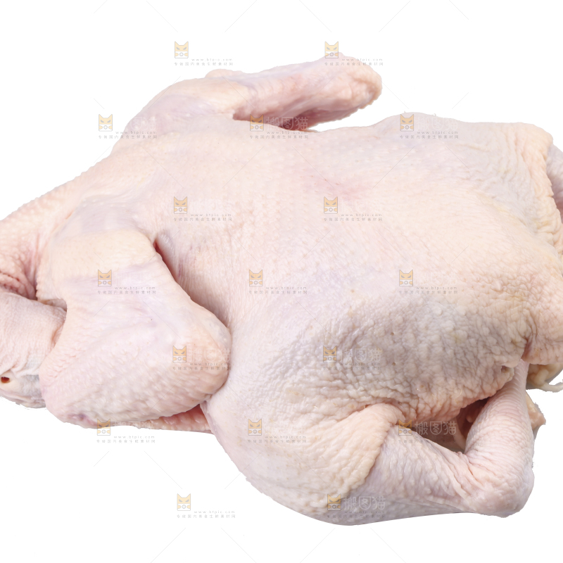 白底上的生鲜鸡肉