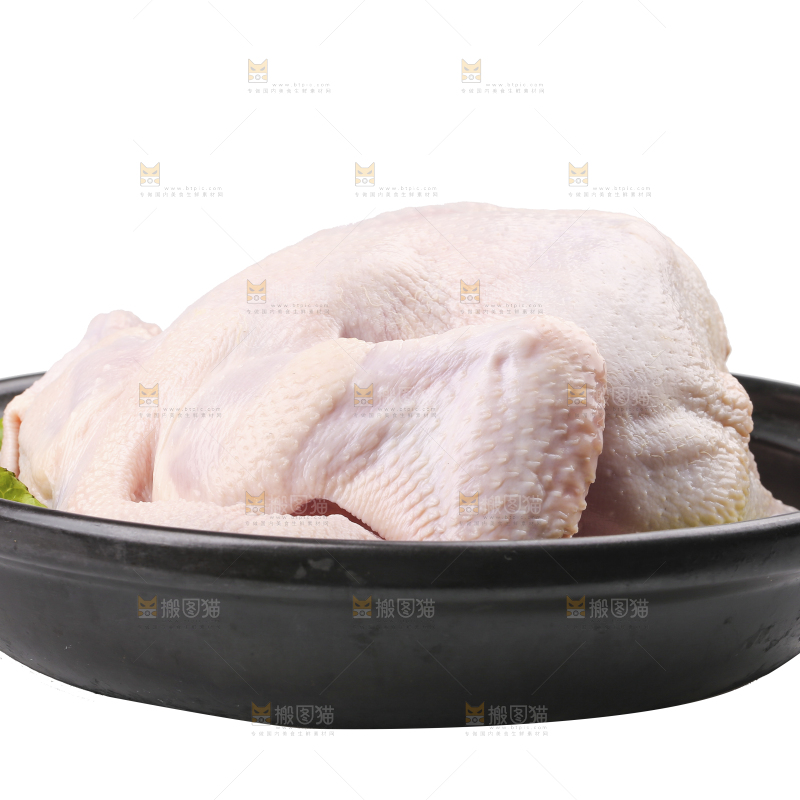 白底上的生鲜鸡肉