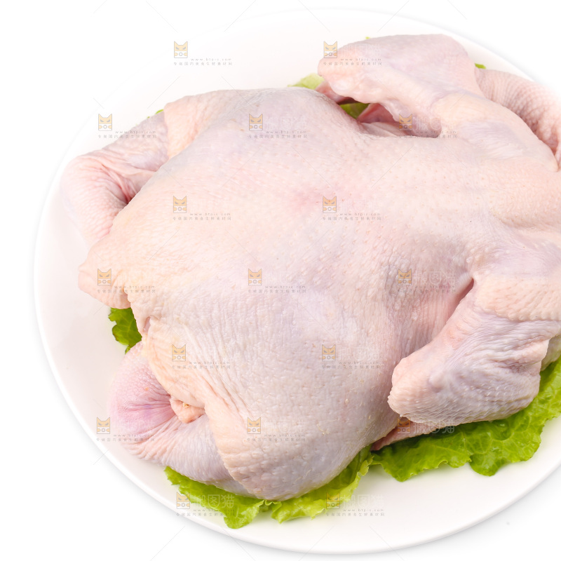 白底上的生鲜鸡肉