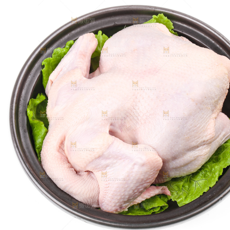 白底上的生鲜鸡肉