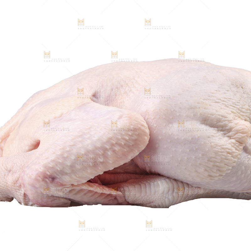 白底上的生鲜鸡肉