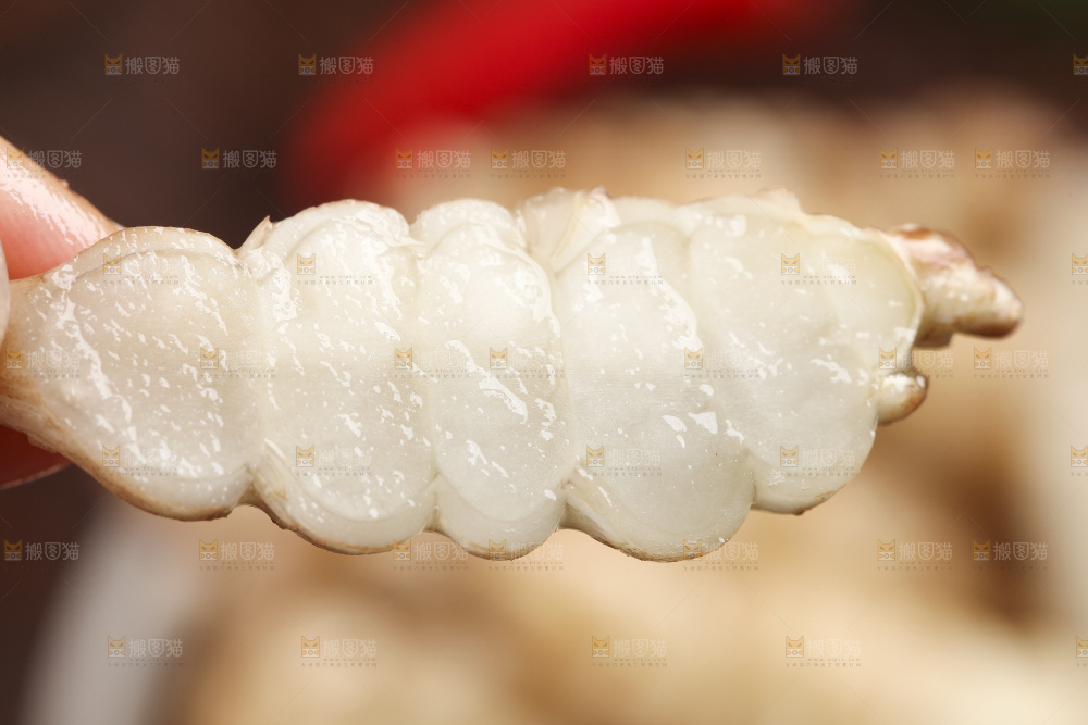 深底上的宝塔菜