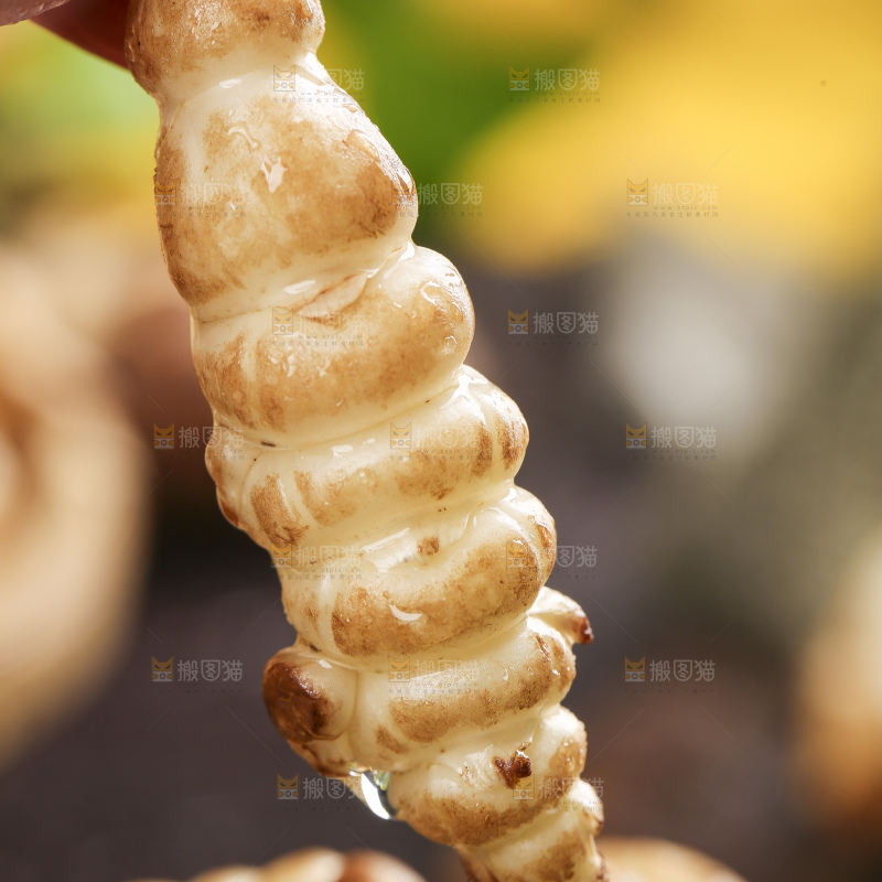 深底上的宝塔菜