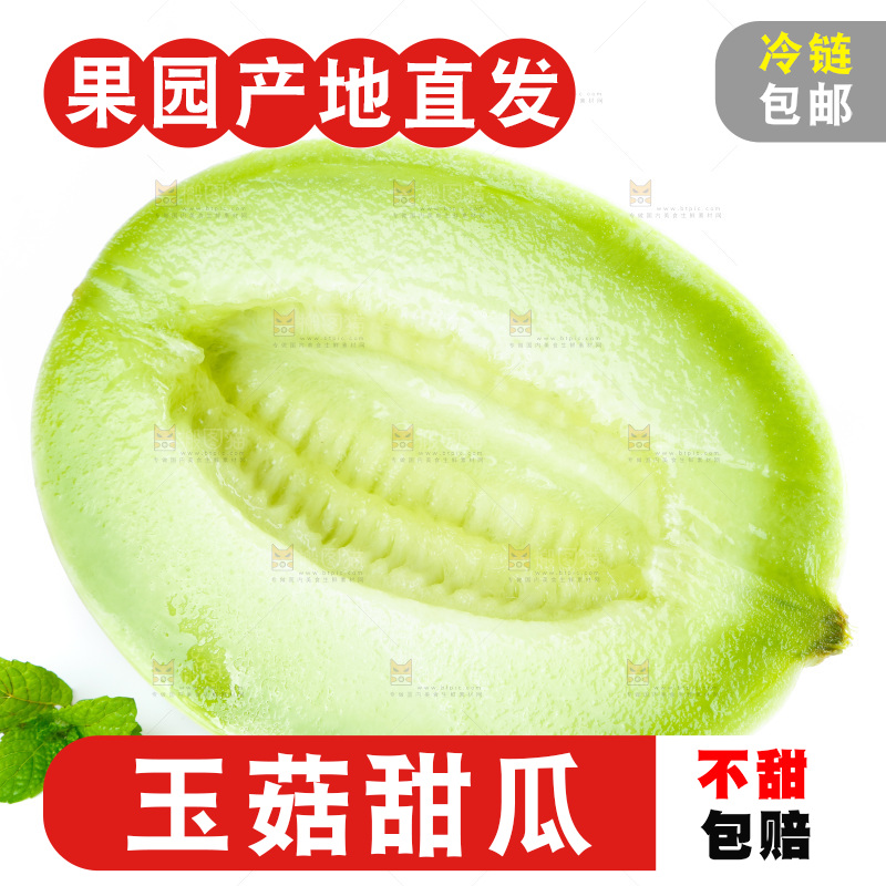 白底上的玉菇甜瓜