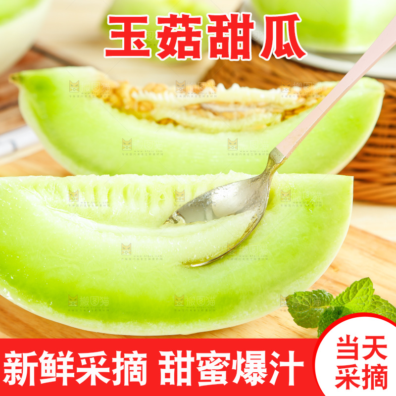 浅底上的玉菇甜瓜
