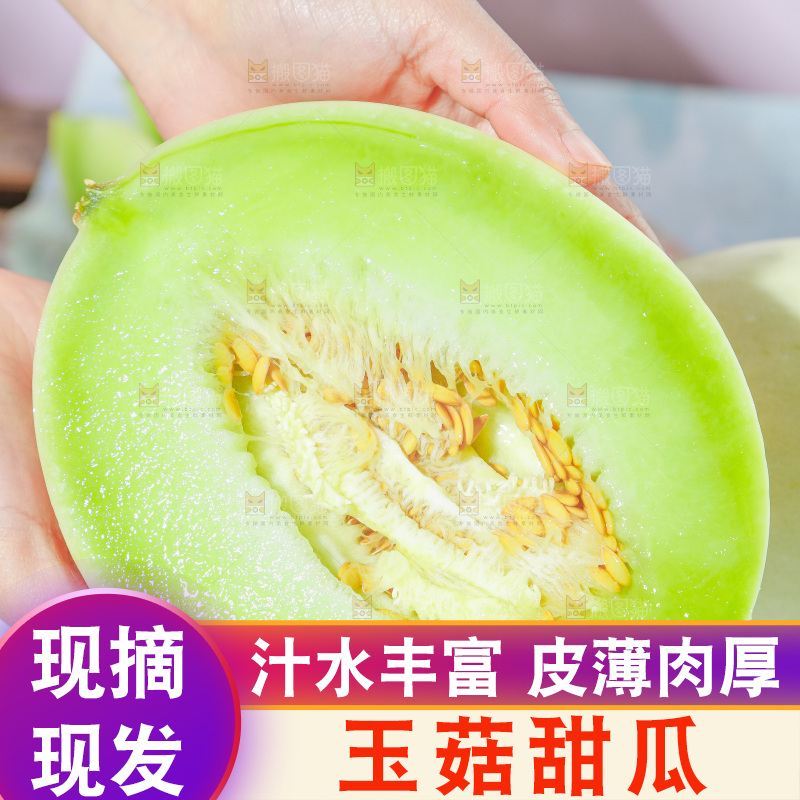 浅底上的玉菇甜瓜