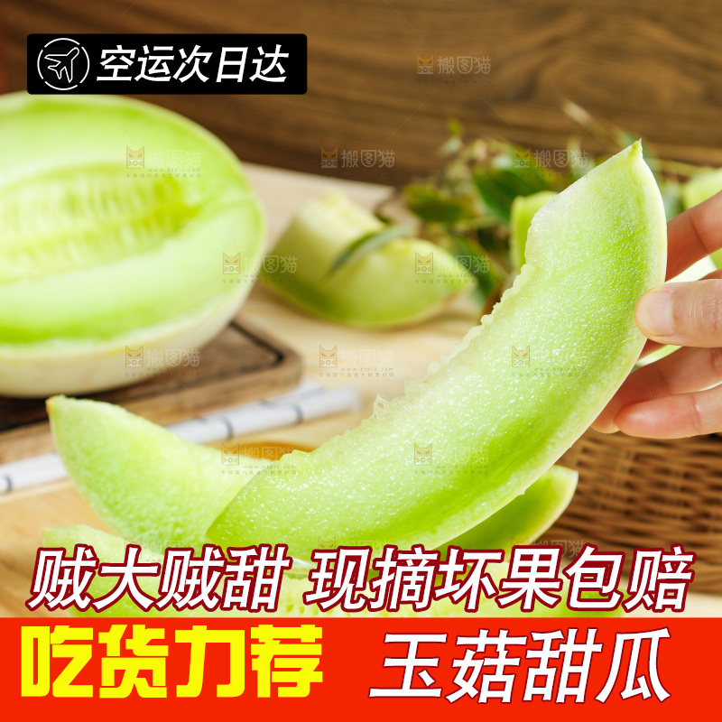 浅底上的玉菇甜瓜