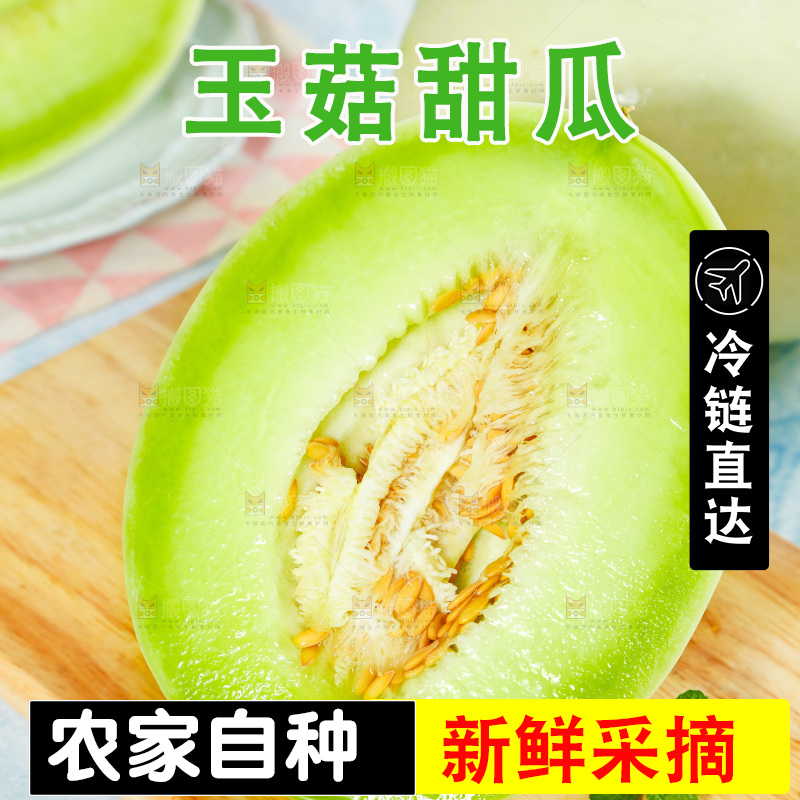 浅底上的玉菇甜瓜