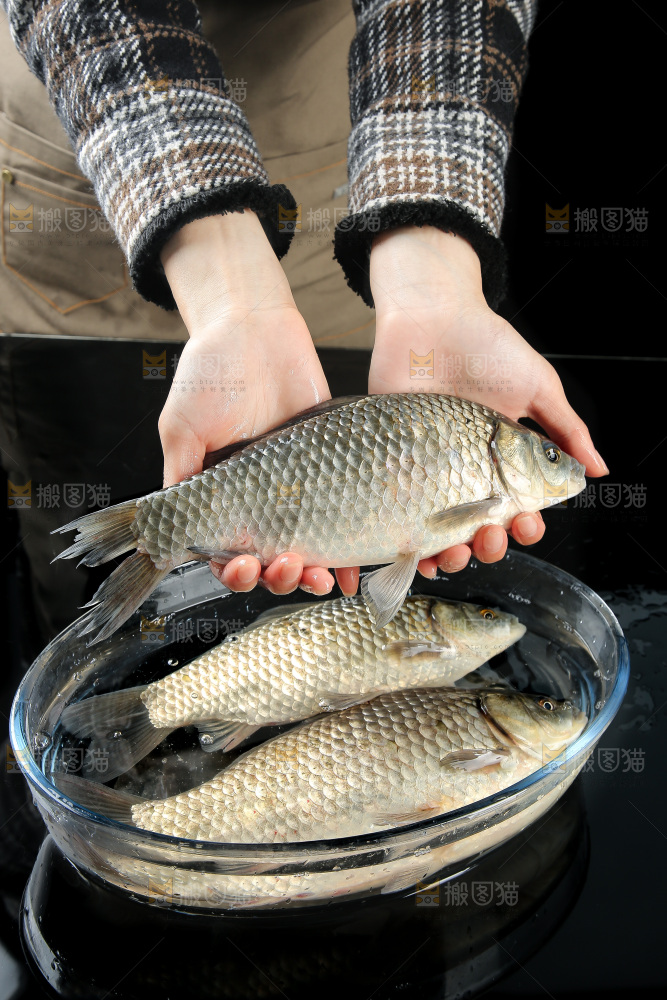 深底上的鲫鱼
