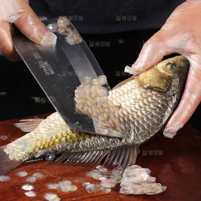 深底上的鲫鱼