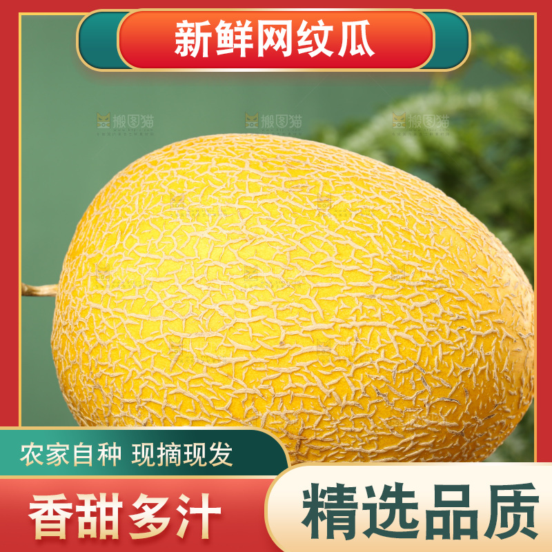 深底上的黄皮哈密瓜