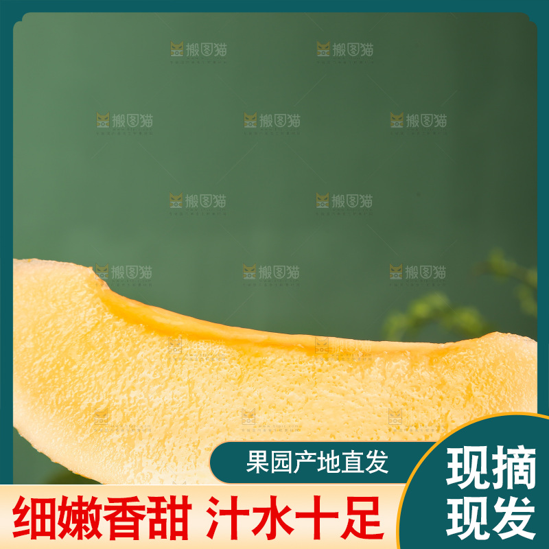 深底上的黄皮哈密瓜
