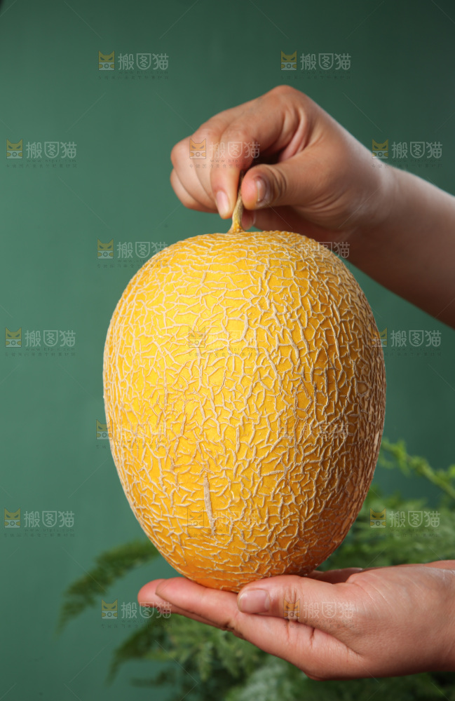 深底上的黄皮哈密瓜