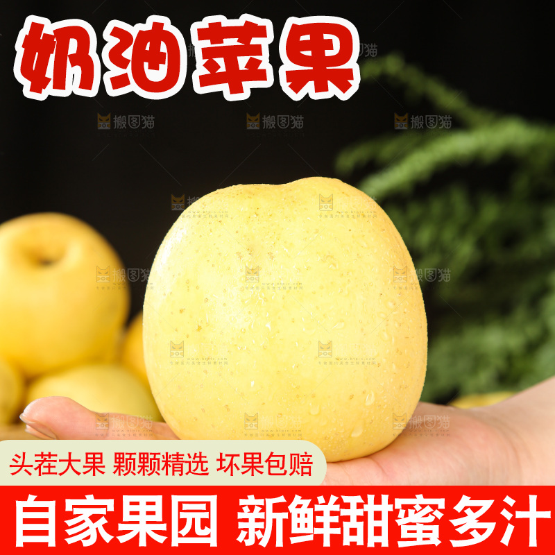 深底上的奶油富士