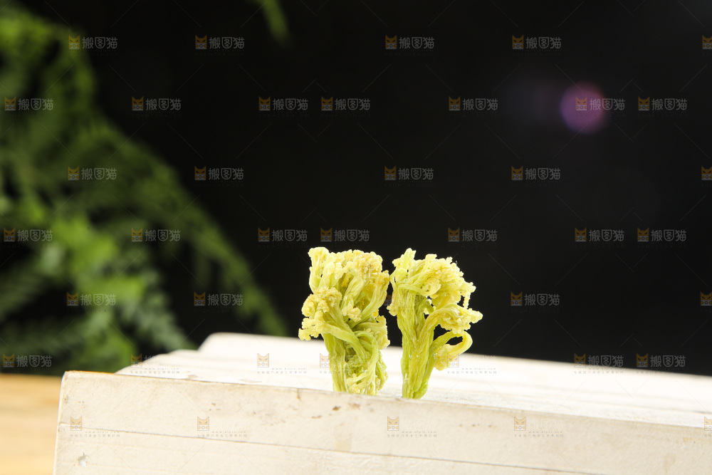 木底上的干花菜