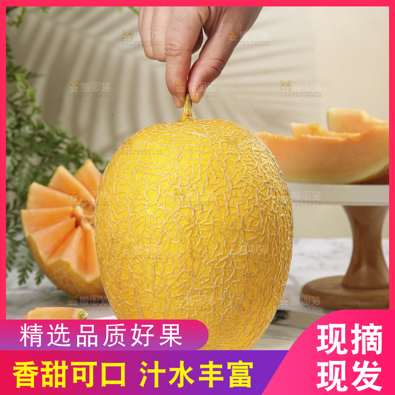浅底上的黄皮哈密瓜
