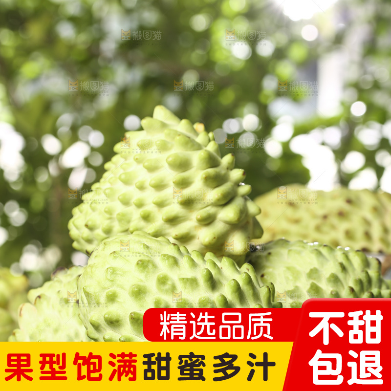 浅底上的释迦果