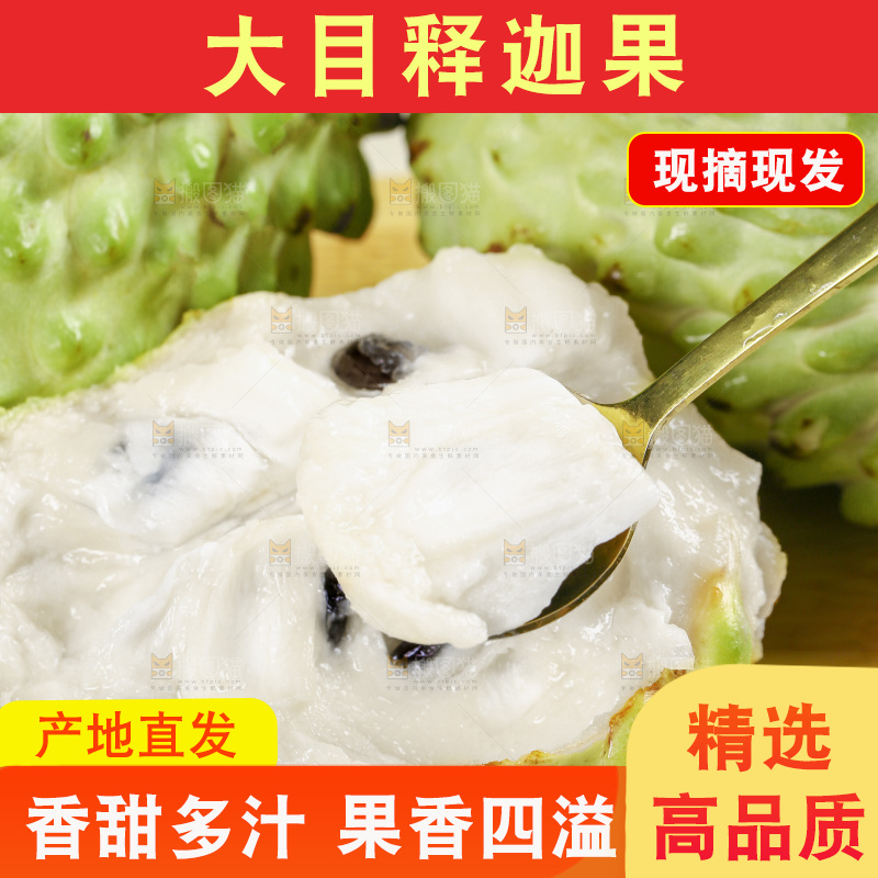浅底上的释迦果