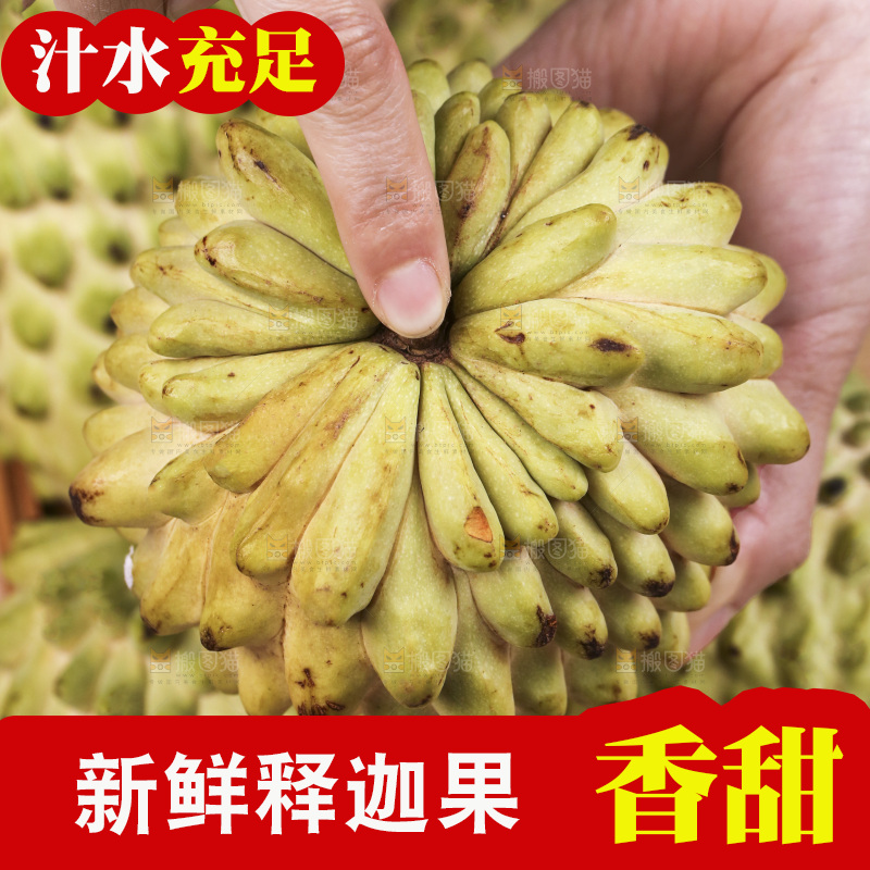 手里拿着释迦果
